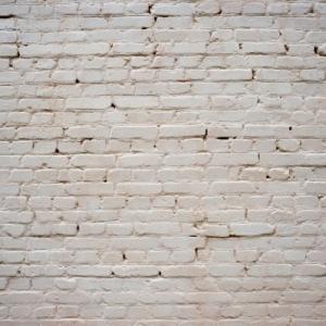 Saint Paul Brick Whitewashing